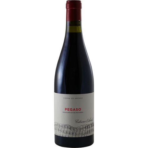 Productfoto Telmo Rodríguez Pegaso Barrancos de Pizarra; etiketjaargang kan afwijken