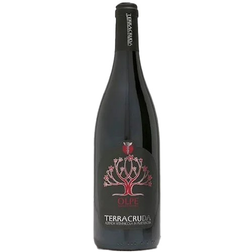 Terracruda Olpe Sangiovese Colli Pesarese Riserva