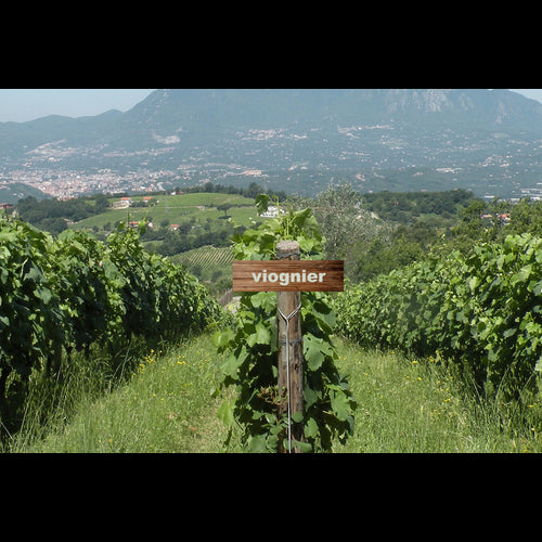 Fleur d'Em Prestige Syrah Mouvedre